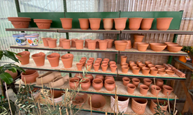 Garden Paradise, Garden Center, plantas, muebles de jardín, Torrox