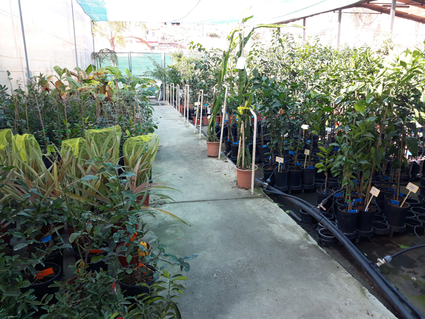 Our Products - Garden Paradise, Garden Center, plants, garden furniture, Torrox