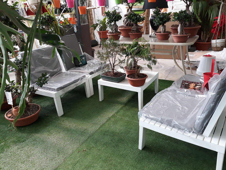 Our Products - Garden Paradise, Garden Center, plants, garden furniture, Torrox