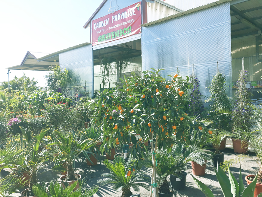 Our Products - Garden Paradise, Garden Center, plants, garden furniture, Torrox